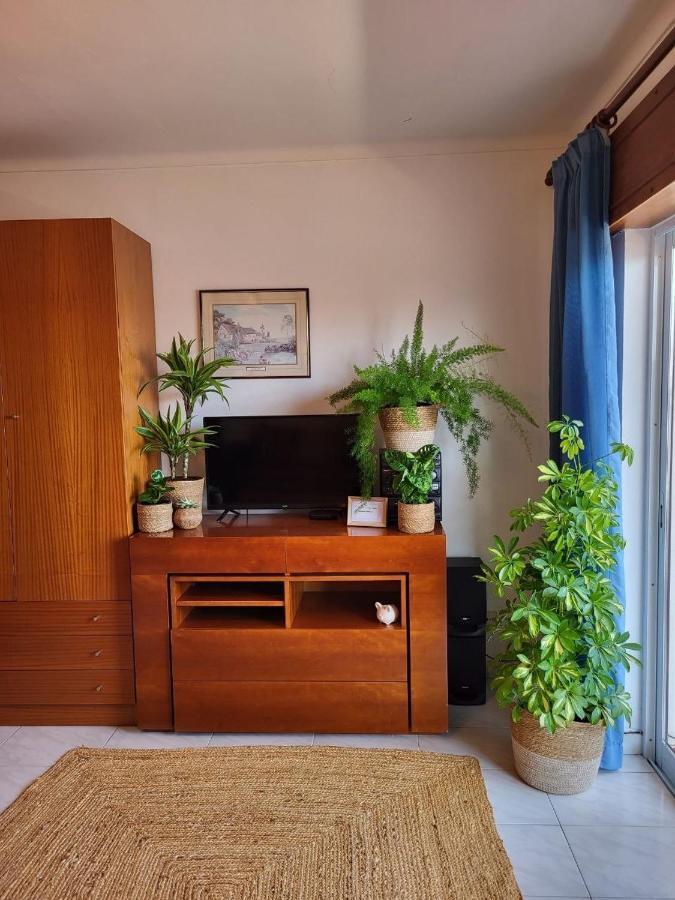 Studio Apartment With Sea View & Fibre Internet Αλμπουφέιρα Εξωτερικό φωτογραφία